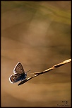 A propos de la galerie-img_1730bis.jpg