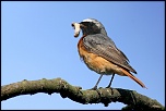 -img_0816.jpg