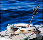 -img_5524.jpg
