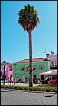 -img_5418.jpg