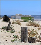 -img_5937.jpg