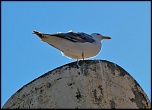 -img_5535.jpg