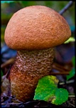 Recherche logiciel-imagen-047.jpg