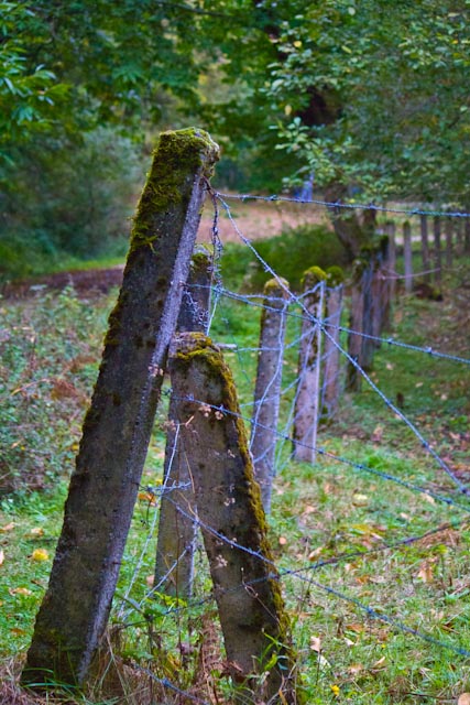 Recherche logiciel-imagen-117.jpg