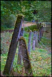 Recherche logiciel-imagen-117.jpg