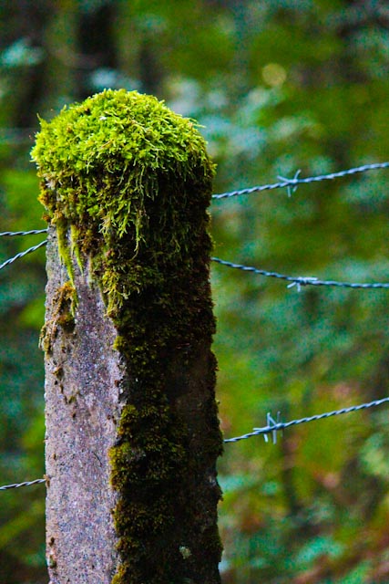 Recherche logiciel-imagen-116.jpg
