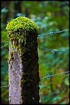 Recherche logiciel-imagen-116.jpg