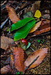 Recherche logiciel-imagen-090.jpg
