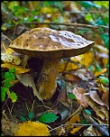 Recherche logiciel-imagen-105.jpg