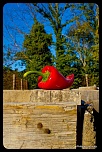 -img_7663.jpg