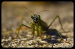 -img_7623.jpg
