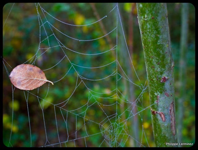 Recherche logiciel-imagen-205.jpg
