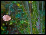 Recherche logiciel-imagen-205.jpg