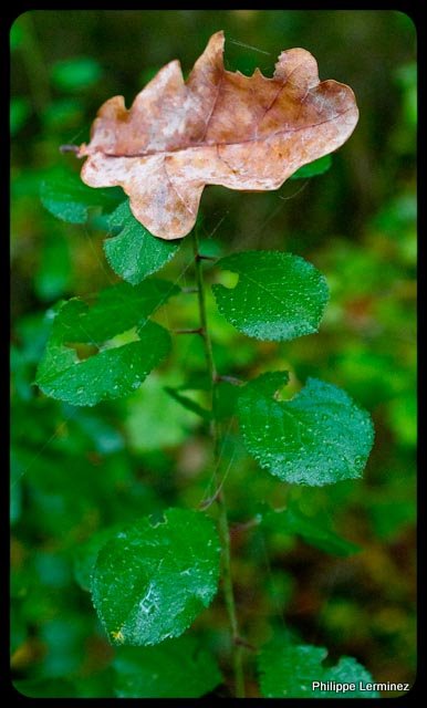 Recherche logiciel-imagen-161.jpg