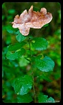 Recherche logiciel-imagen-161.jpg