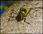 Recherche logiciel-imagen-409.jpg