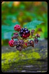 Recherche logiciel-imagen-209.jpg