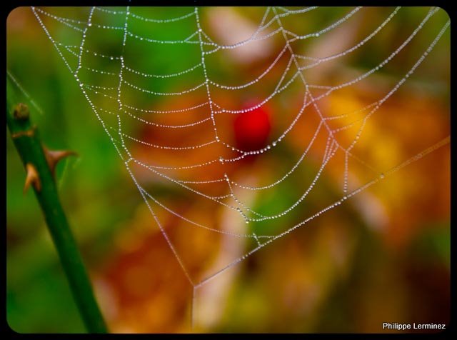Recherche logiciel-imagen-259.jpg