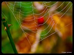 Recherche logiciel-imagen-259.jpg