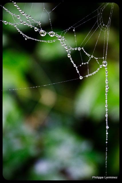 Recherche logiciel-imagen-243.jpg