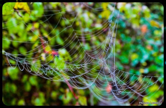 Recherche logiciel-imagen-130.jpg