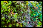 Recherche logiciel-imagen-130.jpg