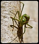Recherche logiciel-imagen-401.jpg