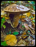 Recherche logiciel-copia-de-imagen-105.jpg