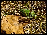 Recherche logiciel-imagen-383.jpg