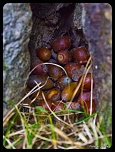 Recherche logiciel-imagen-153.jpg