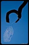 Recherche logiciel-imagen-301.jpg