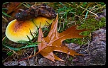 Recherche logiciel-imagen-183.jpg