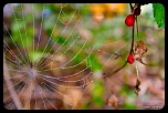 Recherche logiciel-imagen-255.jpg