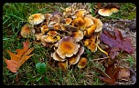 Recherche logiciel-imagen-181.jpg