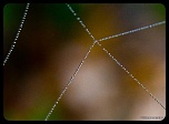 Recherche logiciel-imagen-245.jpg