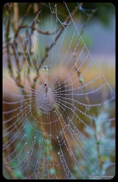 Recherche logiciel-imagen-139.jpg