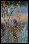 Recherche logiciel-imagen-139.jpg