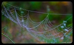 Recherche logiciel-imagen-177.jpg