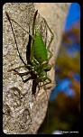 Recherche logiciel-imagen-407.jpg