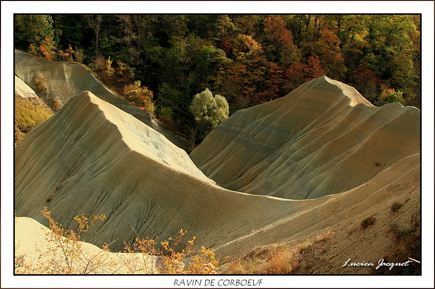 -img_9550.1-bordermaker.jpg