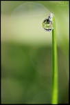 -img_0268.jpg