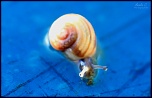 -img_0067.jpg