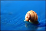 -img_0074.jpg