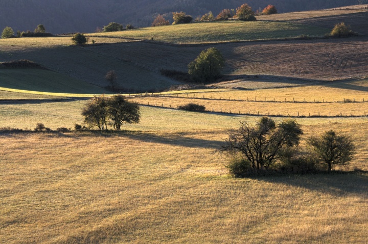 Causse Mjean

====
Modle de l'appareil : Canon EOS 450D
Objectif : EF-S18-135mm f/3.5-5.6 IS
Date et heure de la photo : 2011-10-26 08:52:43
Distance focale : 62mm
Ouverture : f/9.0
Dure d'exposition : 0.020 s (1/50)
quivalence ISO : 100
Correction de l'exposition : aucune
Mode de mesure : Matricielle
Exposition : priorit ouverture (semi-automatique)
Balance des blancs : automatique
Utilisation du flash : Non (force)