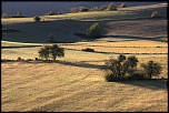 Causse Mjean 
 
==== 
Modle de l'appareil : Canon EOS 450D 
Objectif : EF-S18-135mm f/3.5-5.6 IS 
Date et heure de la photo : 2011-10-26 08:52:43...