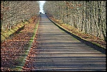 Petit plus-img_3219.jpg