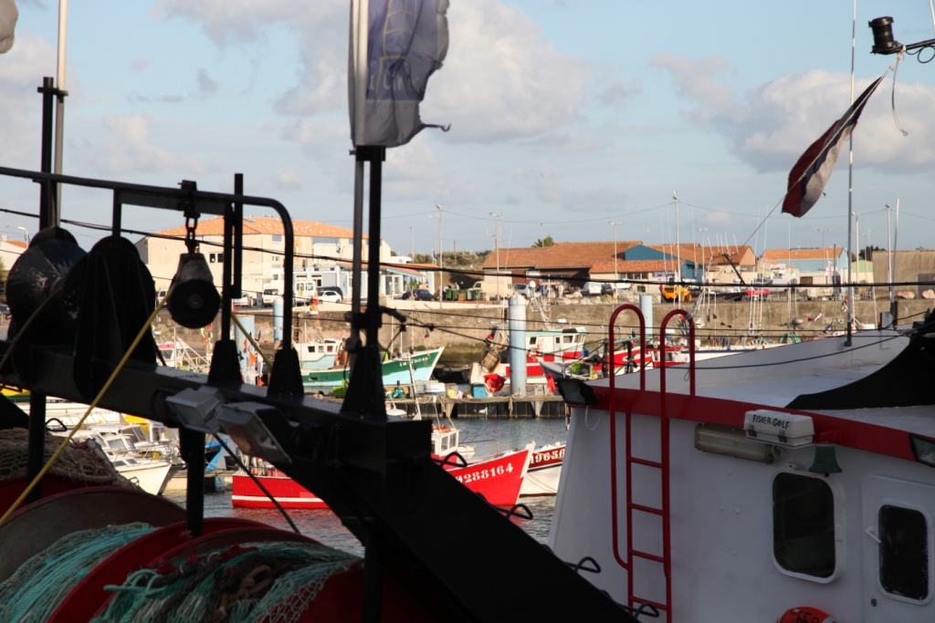 Comment mettre une image dans un post-img_0575.jpg