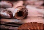 Comment mettre une image dans un post-img_0578.jpg