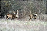 Logiciel DXO-img_3951_modifie-1.jpg