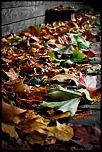-img_3520-3.jpg